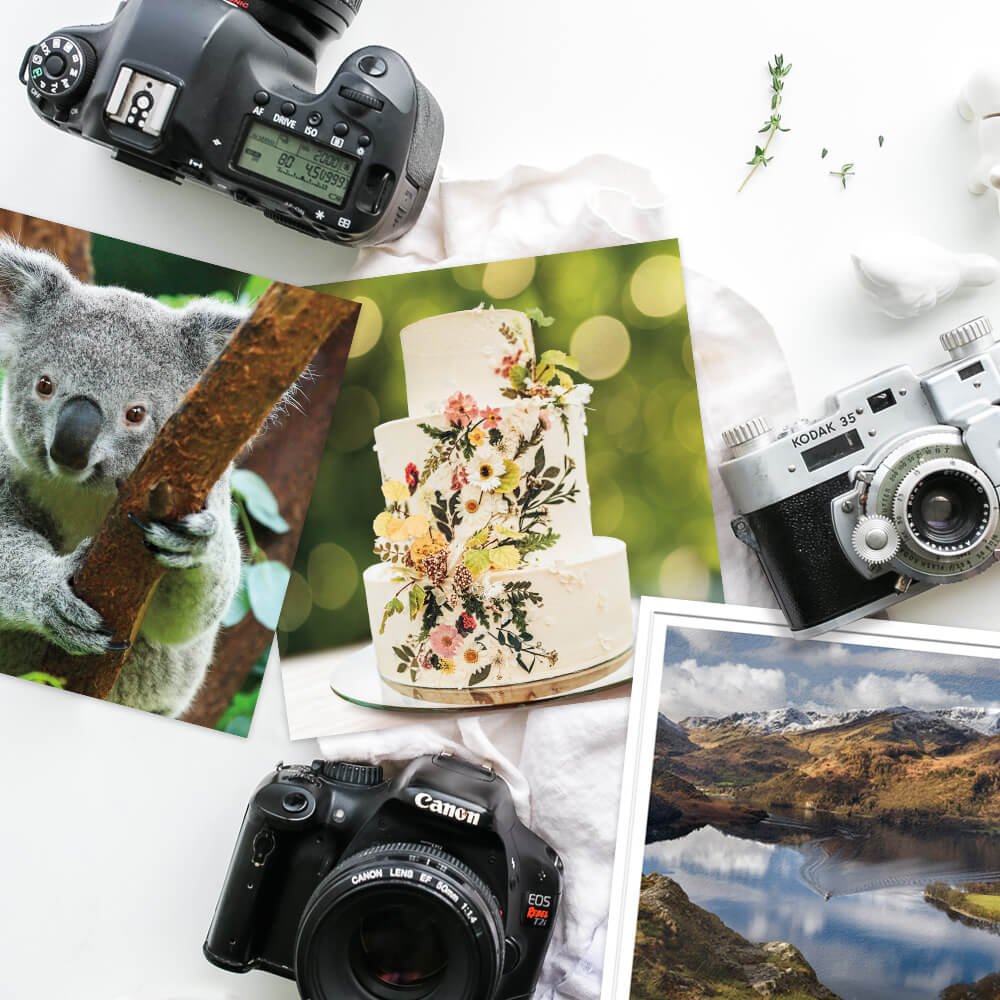 photographic greeting cards 