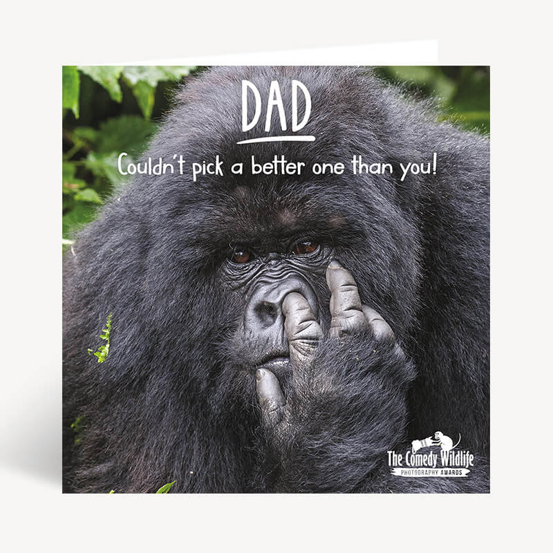 Comedy Wildlife photographic dad ape card