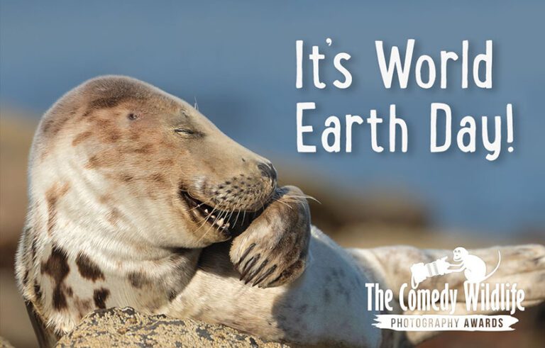 Happy World Earth Day!