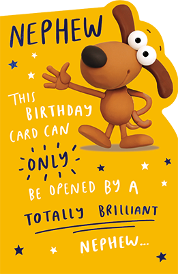 Funny birthday card for nephew